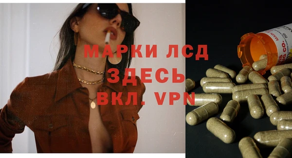 трава Новодвинск