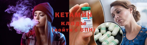 трава Новодвинск