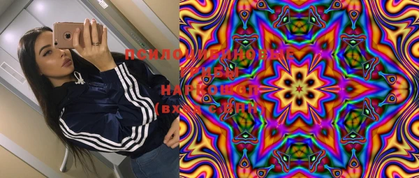 амф Новозыбков
