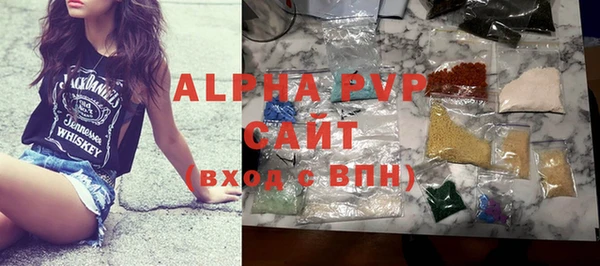 амф Новозыбков