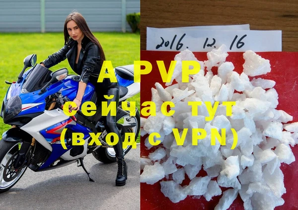 трава Новодвинск
