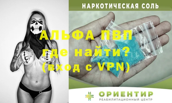 амф Новозыбков