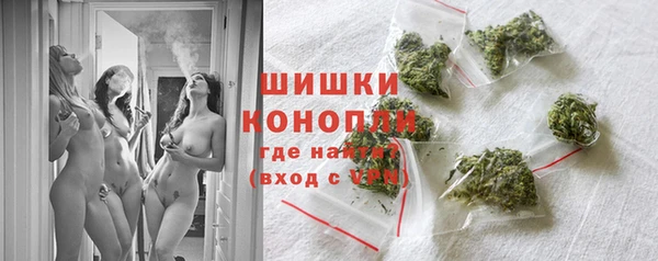трава Новодвинск