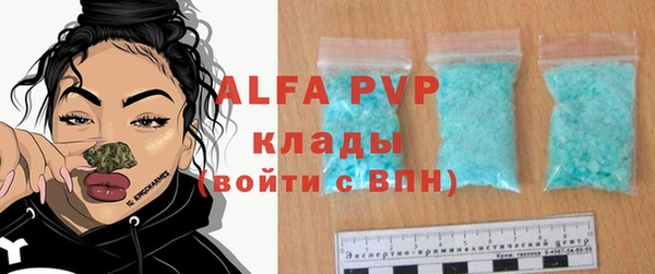 амф Новозыбков