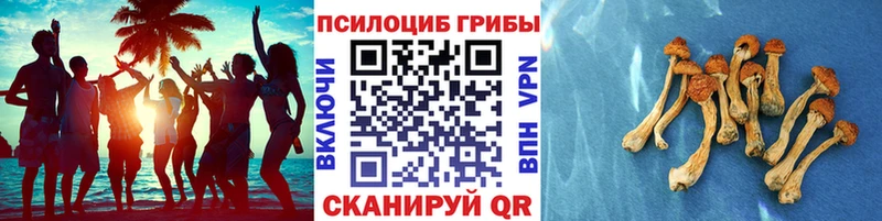где продают наркотики  Сорск  Галлюциногенные грибы ЛСД 